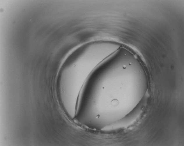 X0000062830887200601271948