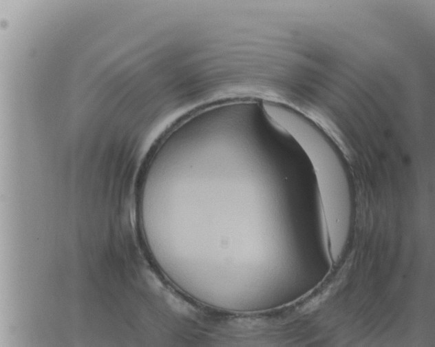 X0000062830888200601271948