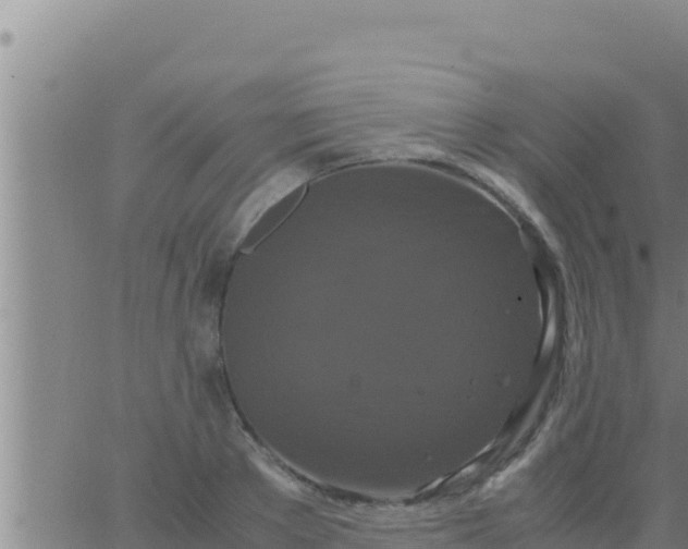 X0000062830889200601271948