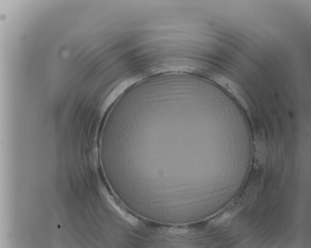 X0000062830890200601271948