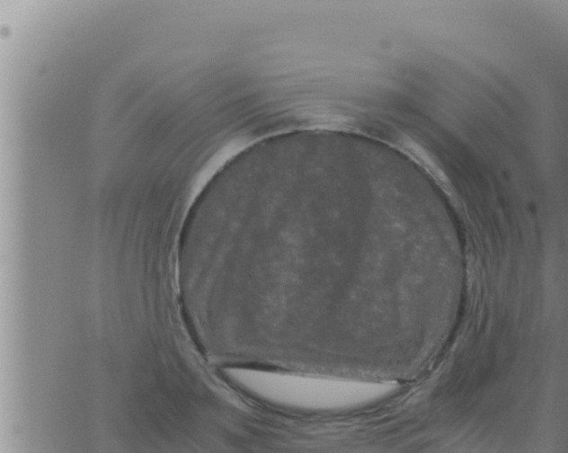 X0000062830891200601271948