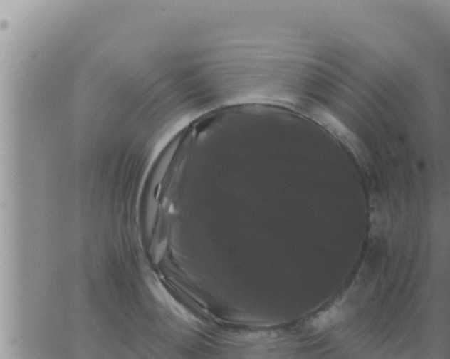 X0000062830892200601271948