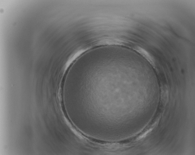 X0000062830893200601271948