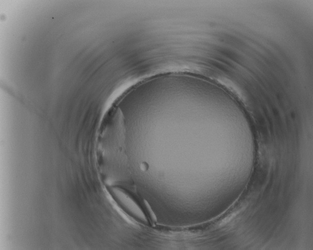 X0000062830894200601271948