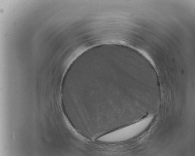 X0000062830895200601271948