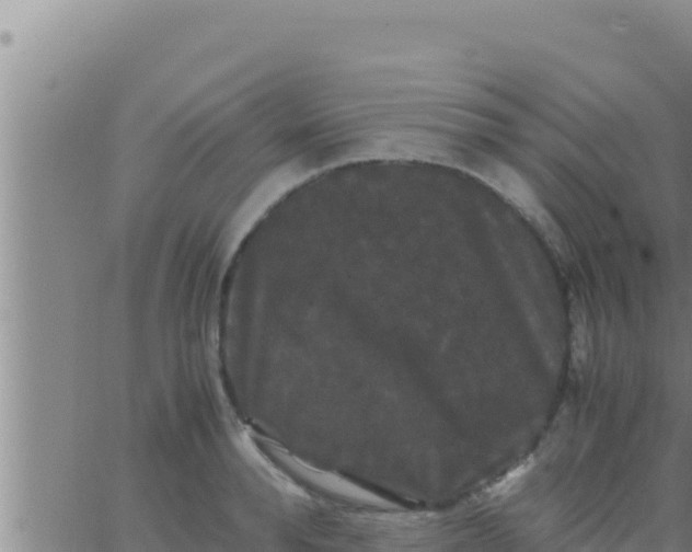 X0000062830896200601271948