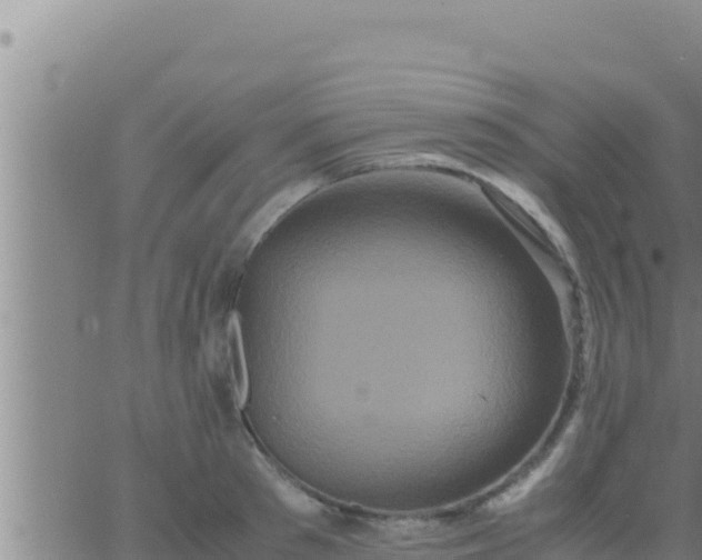 X0000062830897200601271948