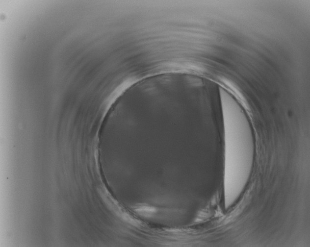 X0000062830899200601271948