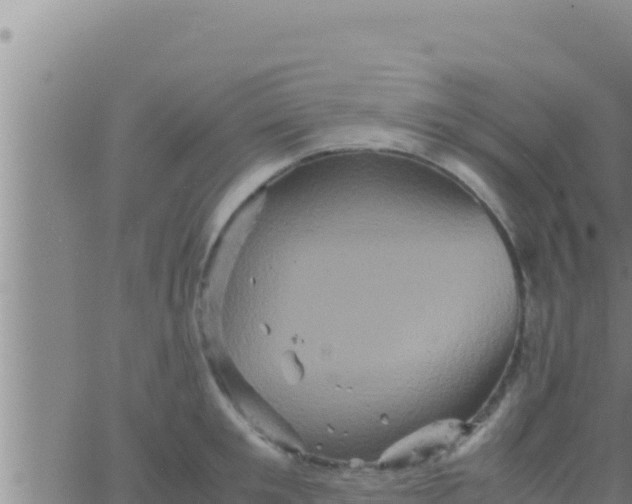 X0000062830901200601271948