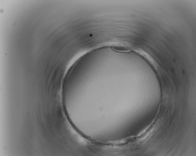 X0000062830902200601271948