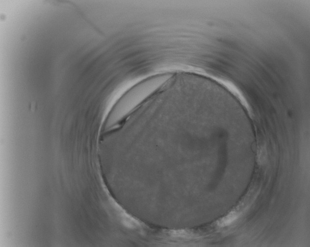 X0000062830903200601271948