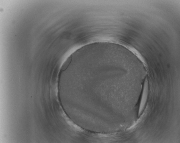 X0000062830904200601271948