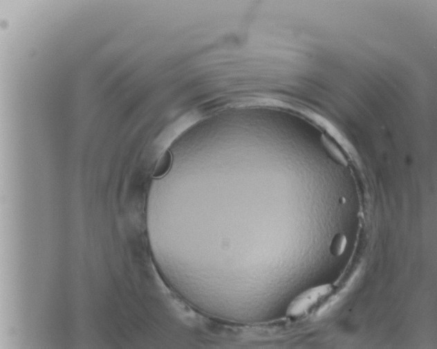 X0000062830905200601271948