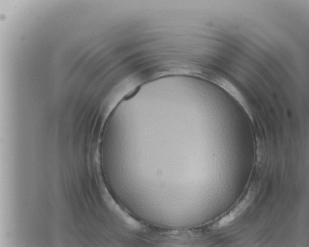 X0000062830906200601271948