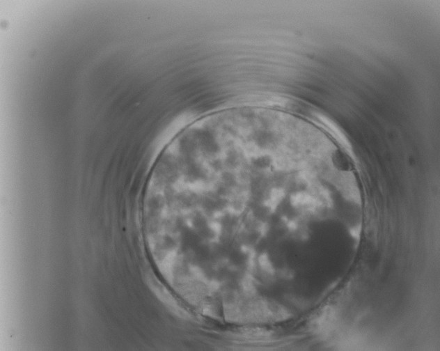 X0000062830907200601271948