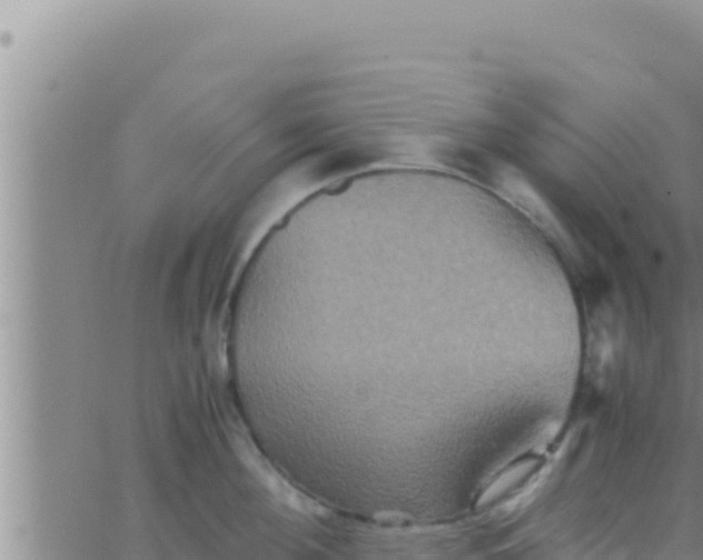 X0000062830908200601271948