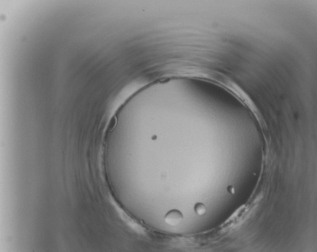 X0000062830909200601271948