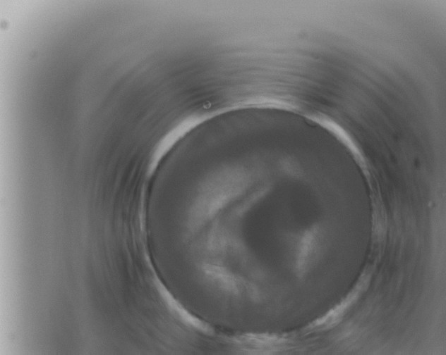 X0000062830910200601271948