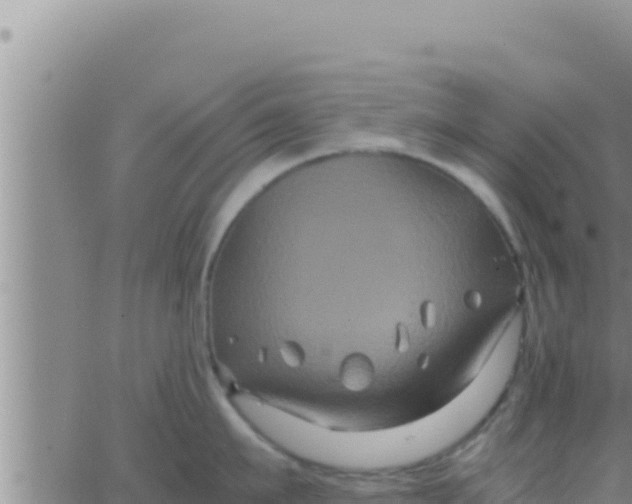 X0000062830911200601271948