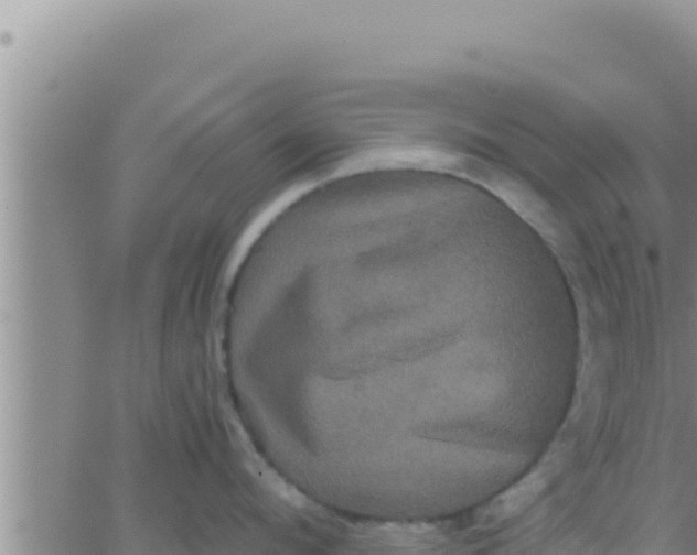 X0000062830912200601271948