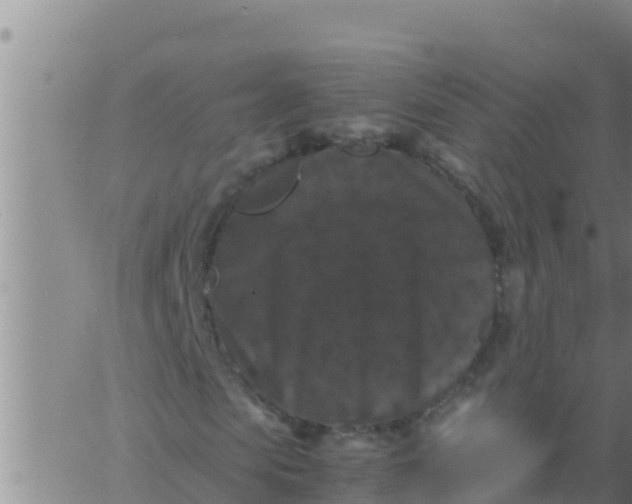 X0000062830913200601271947