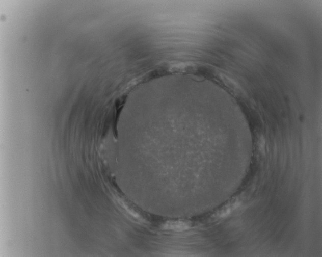 X0000062830914200601271947