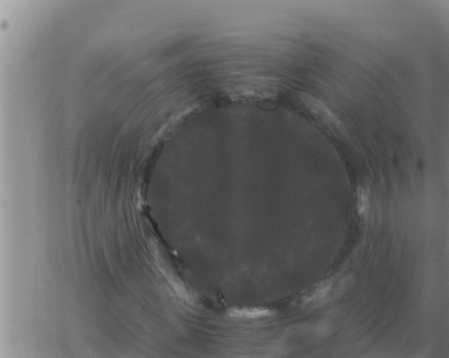 X0000062830915200601271947