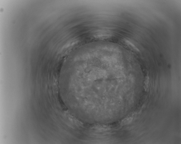 X0000062830917200601271947