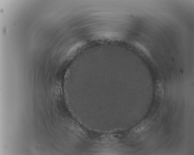 X0000062830918200601271947