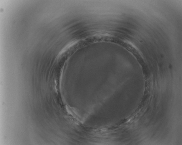 X0000062830919200601271947