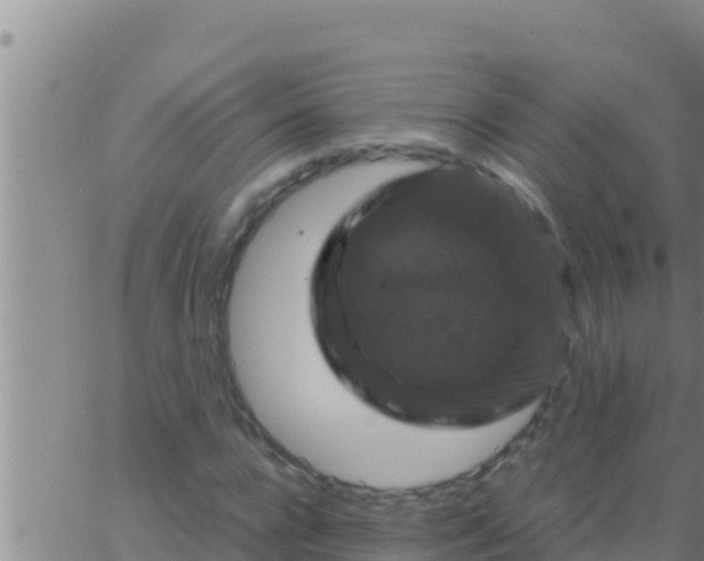 X0000062830920200601271947