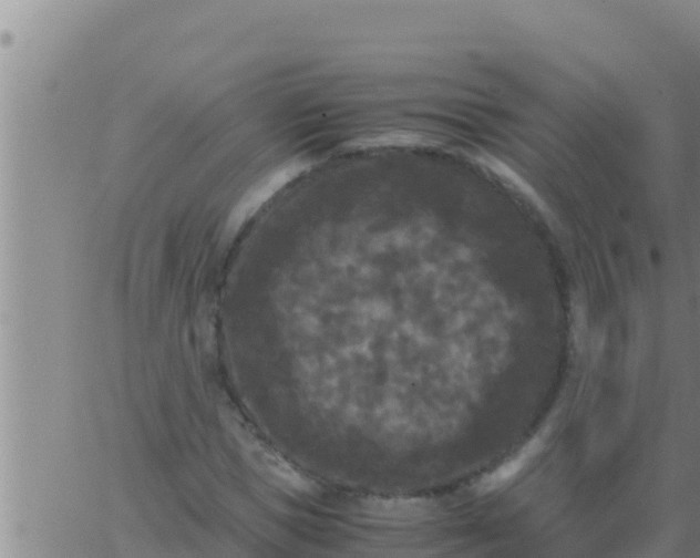 X0000062830921200601271947