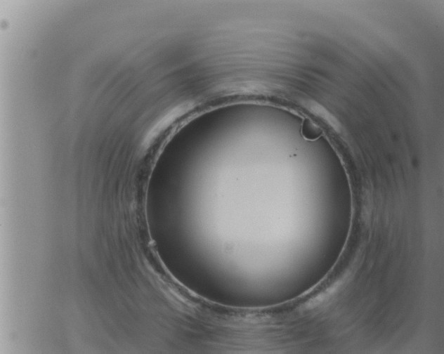 X0000062830922200601271947