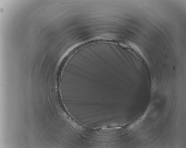 X0000062830923200601271947