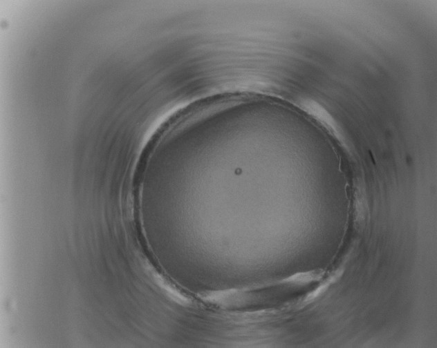 X0000062830924200601271947