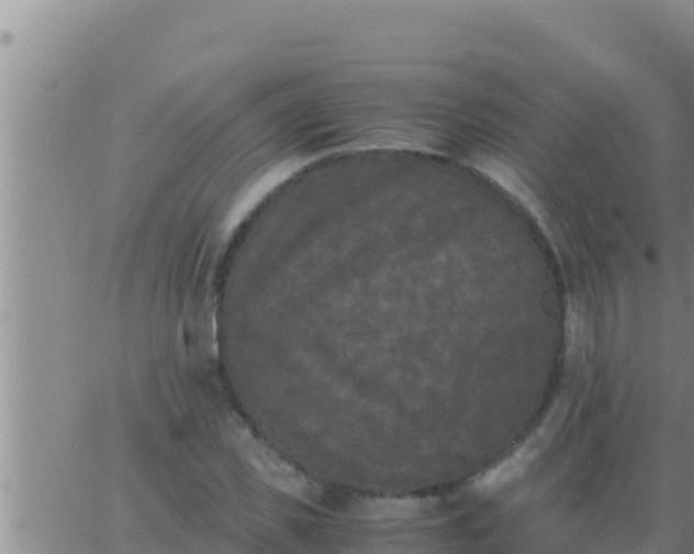 X0000062830925200601271947