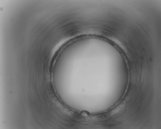 X0000062830927200601271947