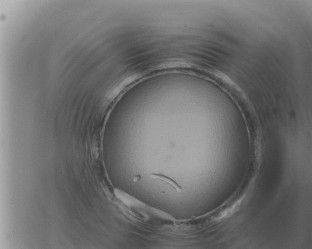 X0000062830929200601271947