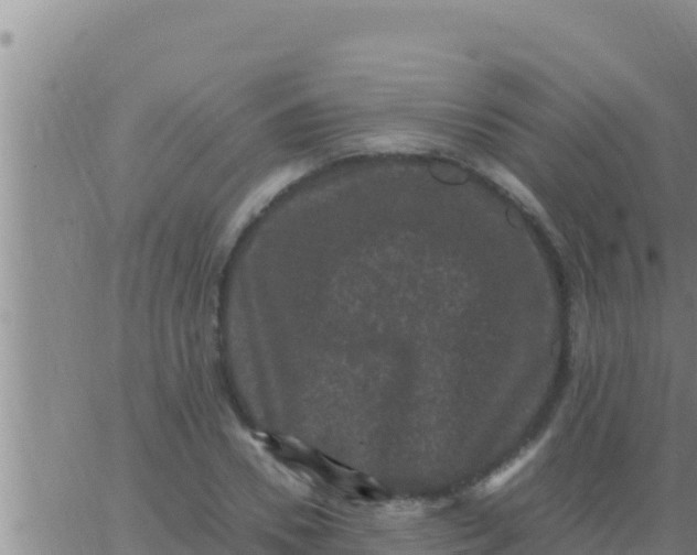 X0000062830930200601271947