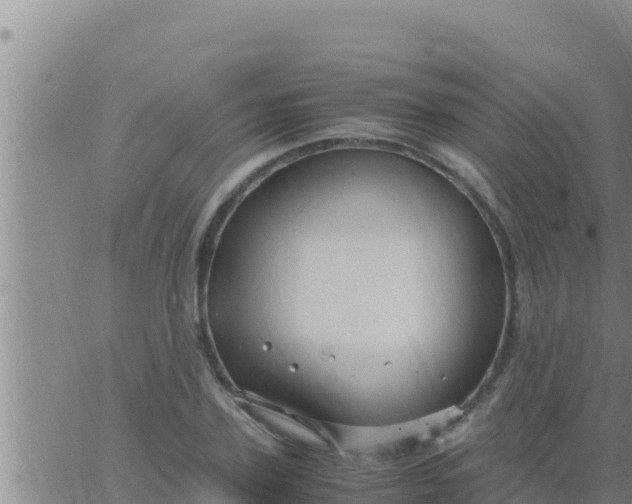 X0000062830931200601271947