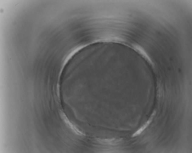 X0000062830932200601271947