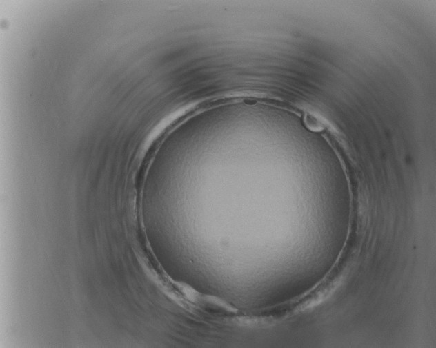 X0000062830933200601271947