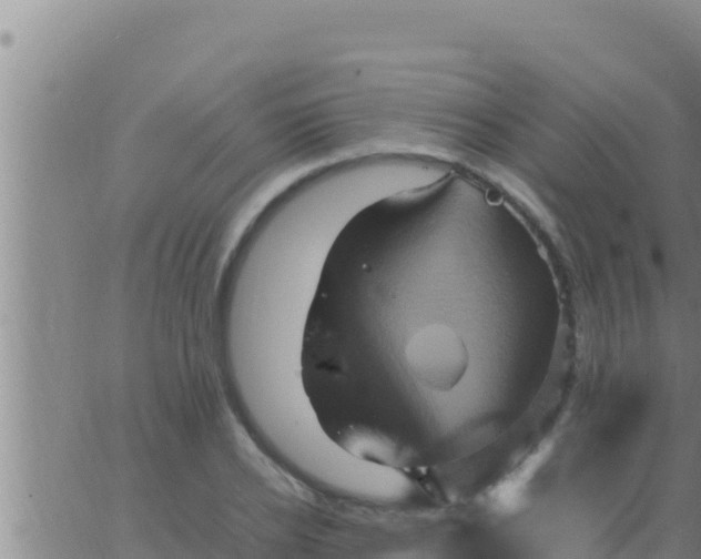 X0000062830934200601271947