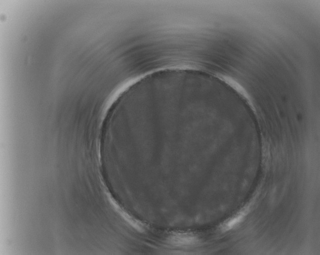 X0000062830935200601271947