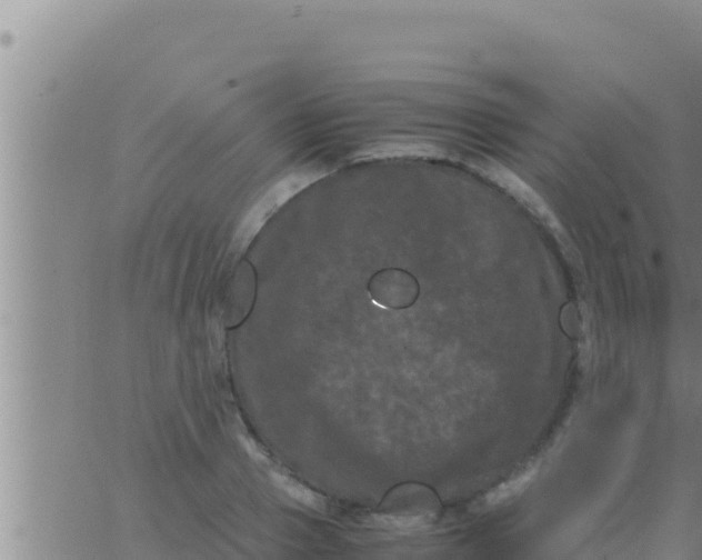 X0000062830937200601271947