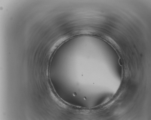 X0000062830938200601271947