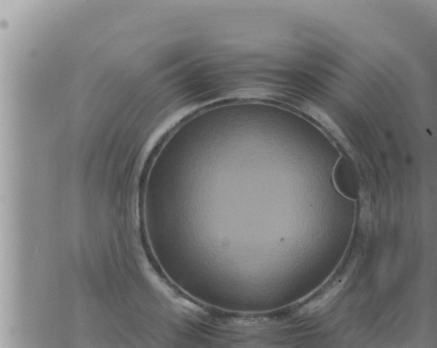 X0000062830939200601271947