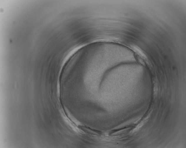 X0000062830940200601271947