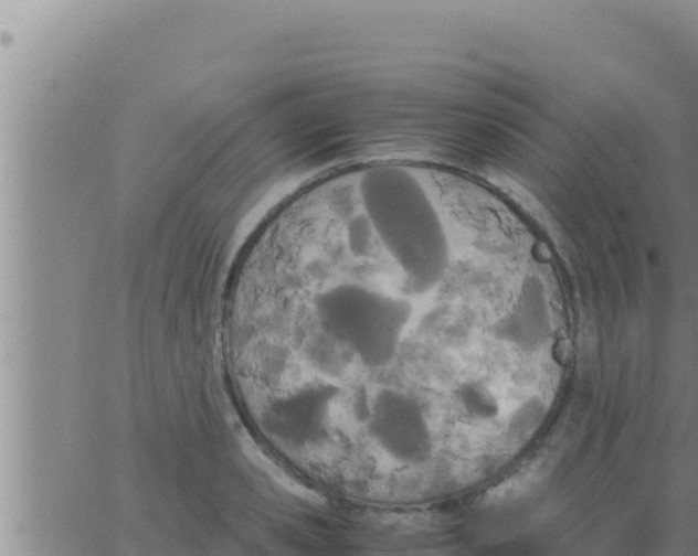 X0000062830941200601271947