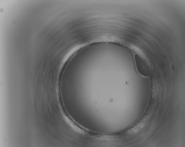 X0000062830942200601271947